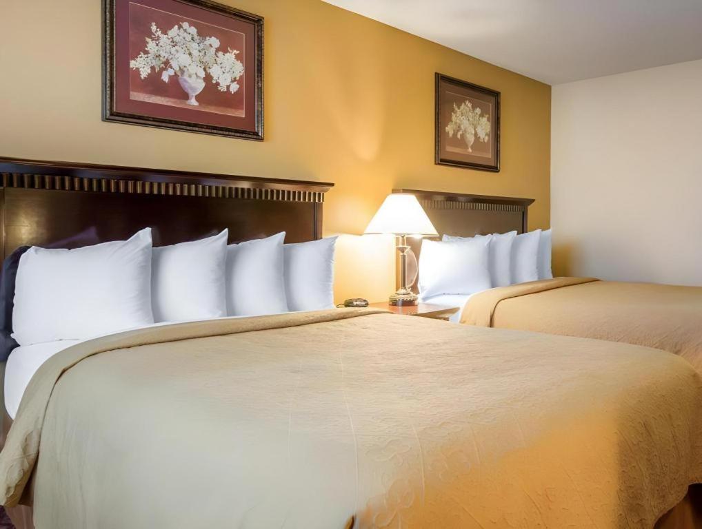סן ברנרדינו Quality Inn מראה חיצוני תמונה