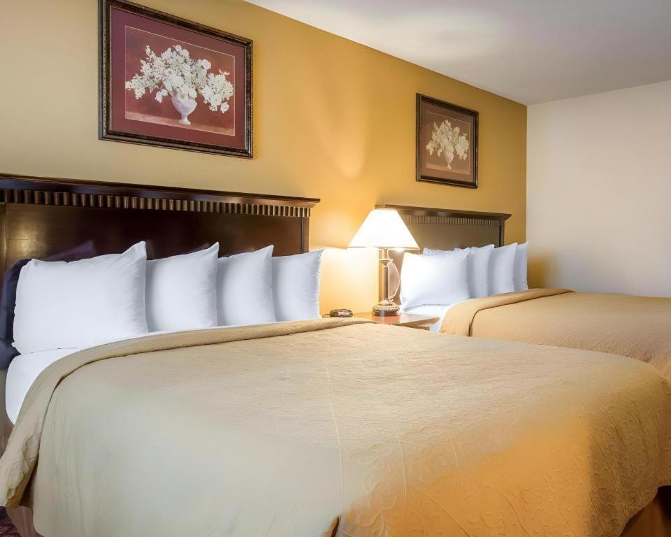 סן ברנרדינו Quality Inn מראה חיצוני תמונה