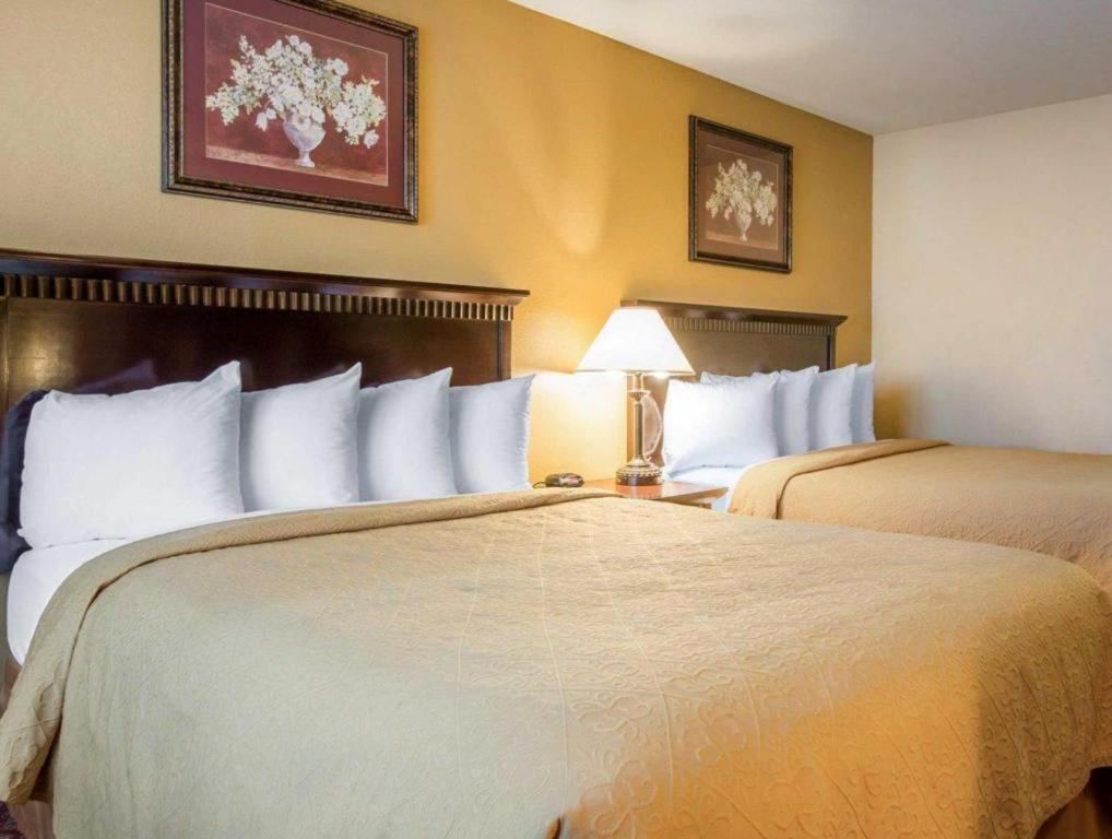 סן ברנרדינו Quality Inn מראה חיצוני תמונה
